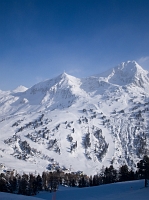PC164973