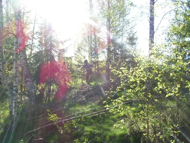 PICT0031