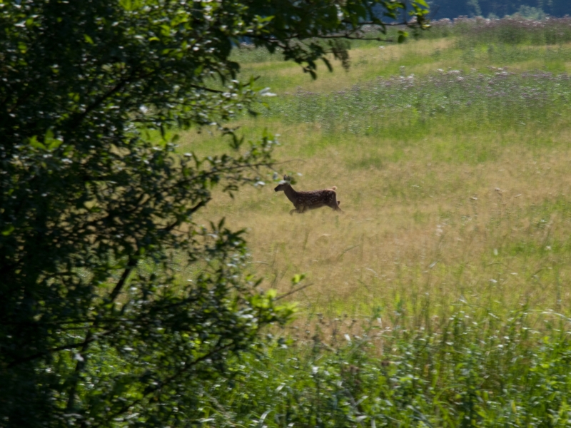 P7042477