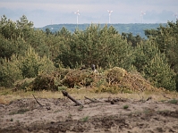 P5161107