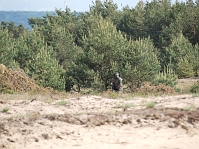P5161118