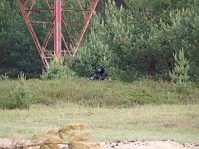 P5161146