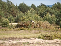 P5161150