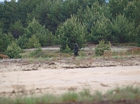 P5161164