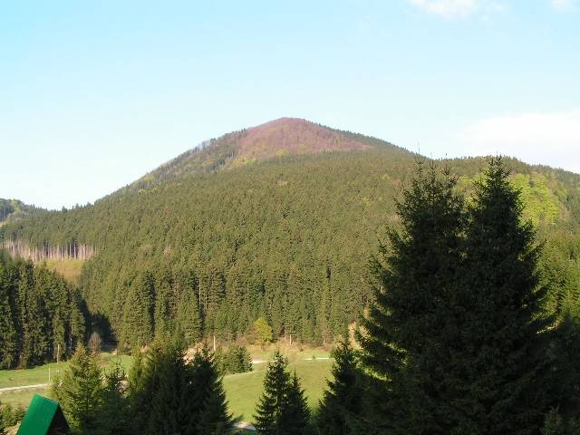 PICT0105