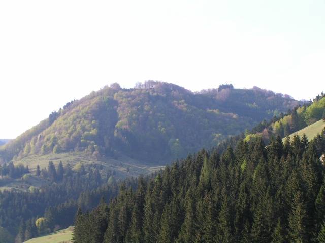 PICT0107