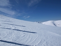P3094339