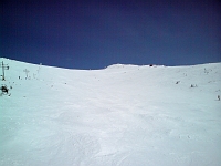 PSC00131